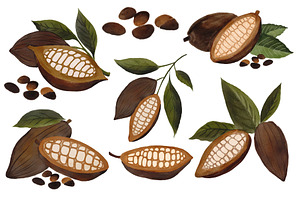 Watercolor Cocoa Beans