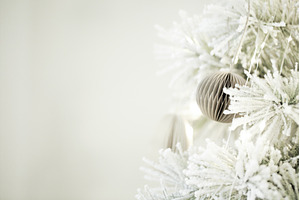 White frosted christmas tree, a Holiday Photo by Anna Efetova