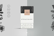 Creative Resume Template for MS Word, a Resume Template by Botanica Paperie (Thumbnail 4 of 6)