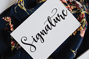 Family | Script Font, a Script Font by Scratchones (Thumbnail 4 of 6)