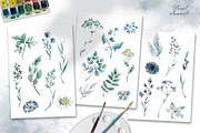 Watercolor herbs collection, an Illustration by Molly art (Thumbnail 2 of 13)