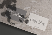 Clamshell - Modern Calligraphy, a Script Font by roomspace creative lab (Thumbnail 11 of 15)