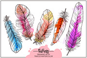 Feathers. Hand Drawn Collection, an Object Graphic by alexrockheart (Thumbnail 3 of 5)