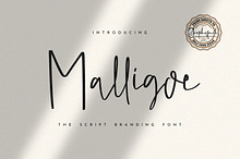 Malligoe - The Script Branding Font
