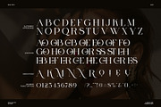 Gomes Dorce Display Serif Font, a Serif Font by Perfectype (Thumbnail 8 of 8)