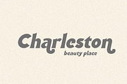 Antagonist Casual Bold Serif, a Serif Font by Haksen (Thumbnail 15 of 15)