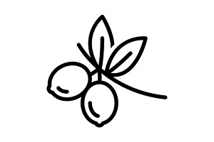 Oliver leaf branch black icon, an Outline Icon by Creative priyanka