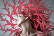 Radial Designs Pack, a Brush Add-On by xresch (Thumbnail 10 of 11)