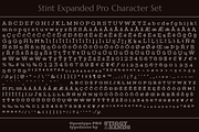 Stint Expanded Pro Family, a Serif Font by Stiggy & Sands (Thumbnail 5 of 5)