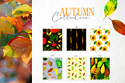 Autumn collection, a Background Graphic by ViktoriaLapshyna (Thumbnail 8 of 10)
