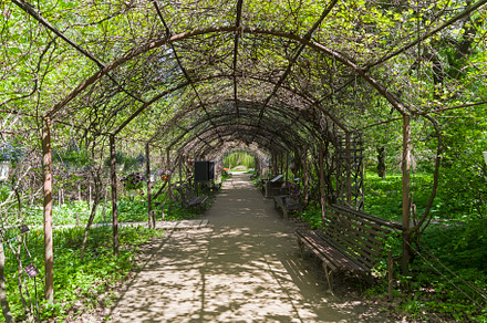 Pergola in the park.