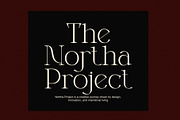 Meet Mange Elegant Serif, a Serif Font by Elegant Font (Thumbnail 5 of 8)