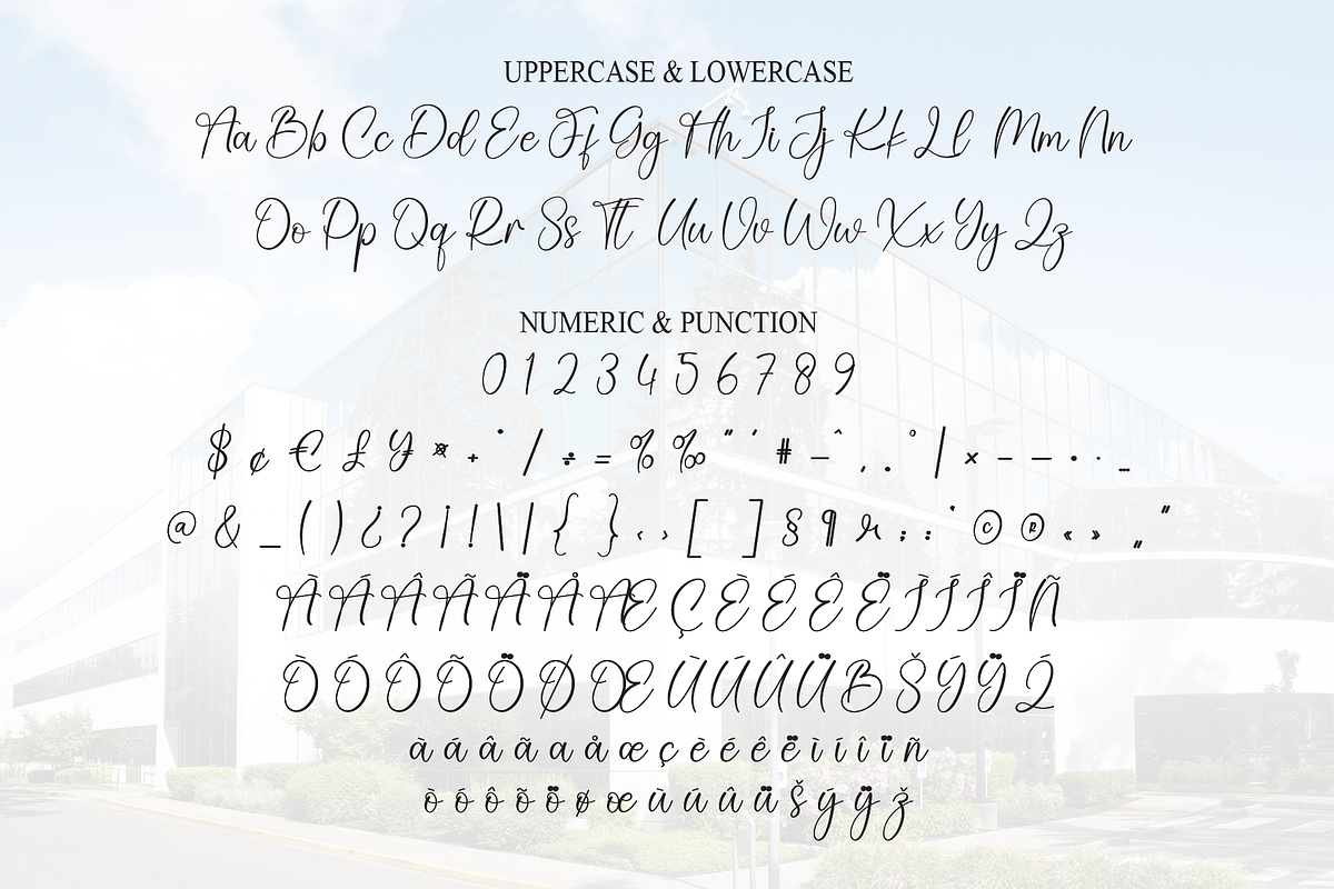 Company | Script Font, a Handwritten Font by Scratchones (Photo 7 of 8)