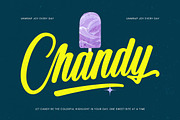 Chunky Slandis Bold Handwritten Font, a Script Font by stylishtype.co (Thumbnail 10 of 20)