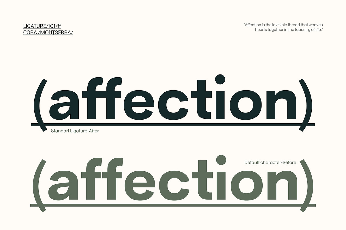 Cora Montserra - Modern Sans 9 Fonts, a Sans Serif Font by Casloop Studio (Photo 9 of 9)