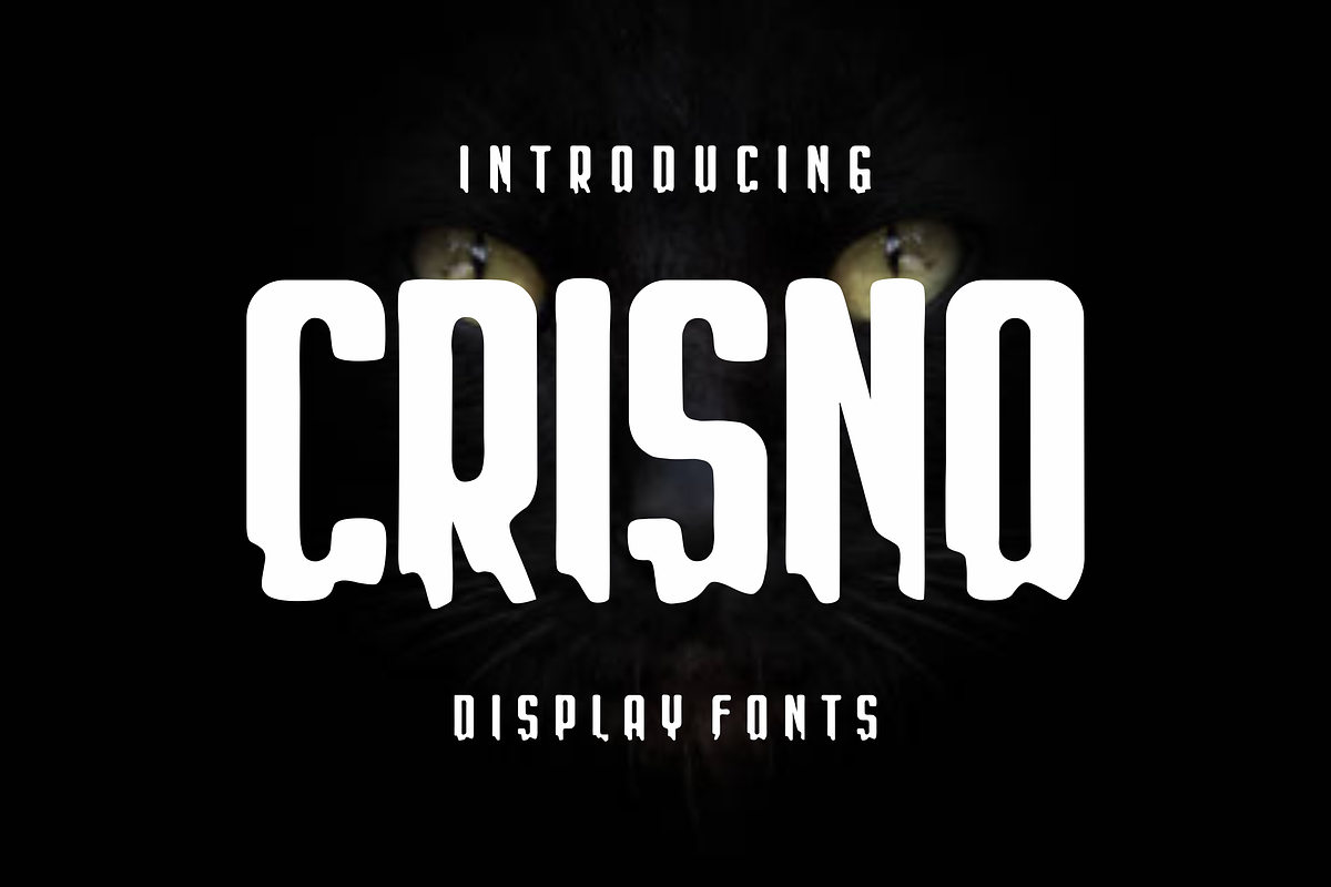 Crisno, a Slab Serif Font by lelevien (Photo 2 of 5)
