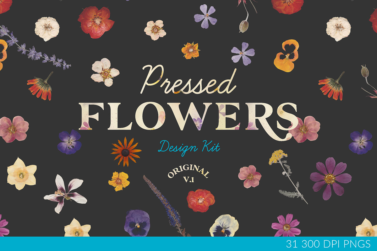 Pressed Flowers Floral Collage Kit, an Object Graphic by Tara Leigh Designs (Photo 1 of 6)