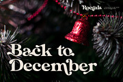 Roegals - A Variative Classy Serif, a Serif Font by NendesKombet Studio (Thumbnail 4 of 15)