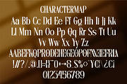 Dezonne || Modern Elegant Serif Font, a Serif Font by Ermedia Studio (Thumbnail 10 of 10)