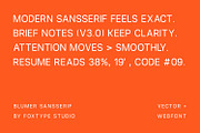 Blumer Modern Branding Sans Serif, a Sans Serif Font by Foxtype (Thumbnail 3 of 9)