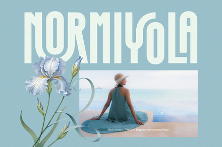 Normiyola - Display Condensed Sans, a Sans Serif Font by BrandSemut