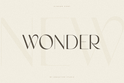 Ginger - Modern Stylish Font, a Sans Serif Font by Sensatype (Thumbnail 3 of 20)