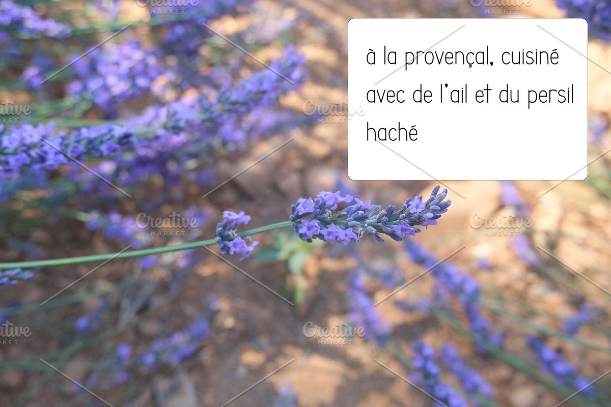 LeLavandou hand drawn Sans Serif, a Sans Serif Font by Contes_de_fée (Photo 6 of 9)