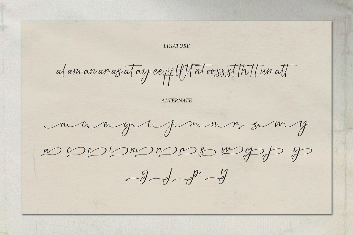 Bounthy Flow | Handwritten Script, a Script Font by Denustudios (Photo 15 of 15)