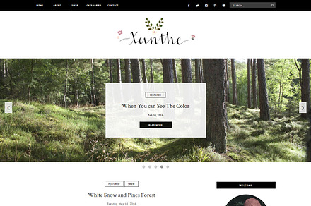 Blogger Template Responsive - XANTHE