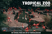 Zoonaji, a Sans Serif Font by Typia Nesia (Thumbnail 10 of 10)