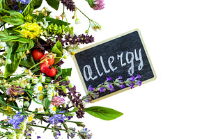 Various medicinal herbs on a white, a Food & Drink Photo by yanadjana