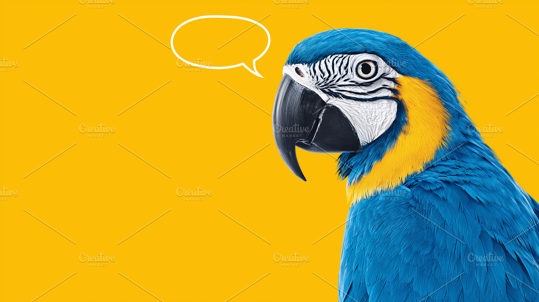 Vibrant blue macaw parrot with, an Animal Photo by MistyDay