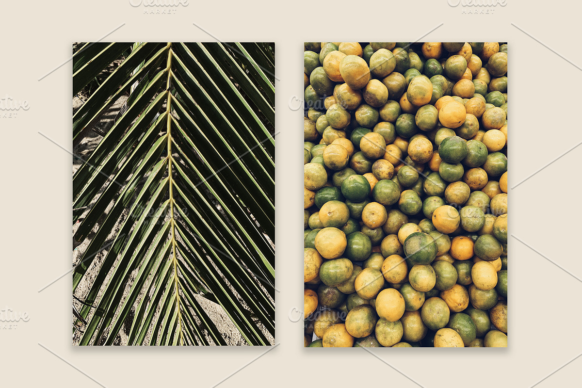 Lifestyle Bundles Collection 4, a Beauty & Fashion Photo by Floral Deco (Photo 61 of 66)