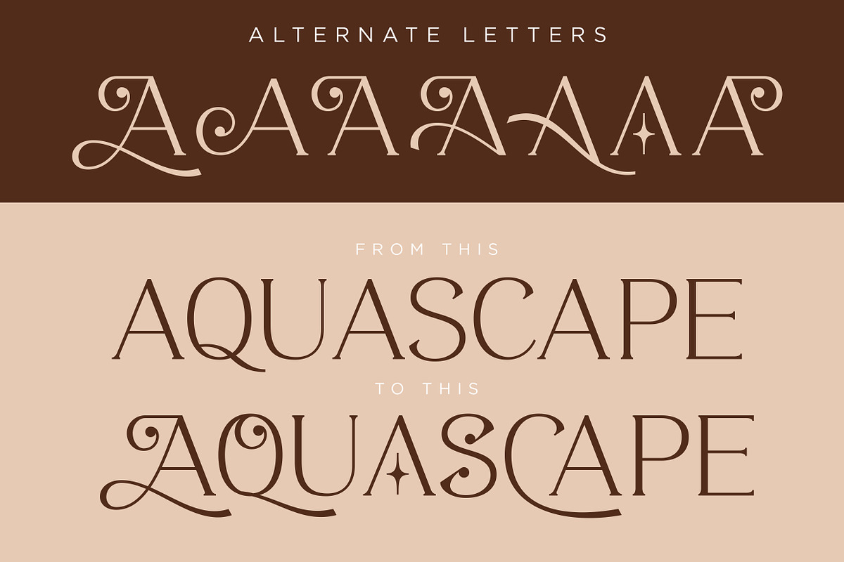 ROAST - Decorative Display Serif preview 3
