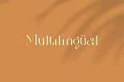 Bilea - Unique Brilliant Font, a Serif Font by suhadidesign (Thumbnail 13 of 14)