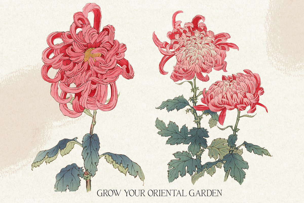 Ikigai Oriental Vintage Design Set, an Object Graphic by Beauty Drops (Photo 5 of 12)