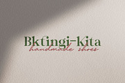 Wastinger Elegant Display, a Serif Font by Typetemp Studio (Thumbnail 9 of 16)