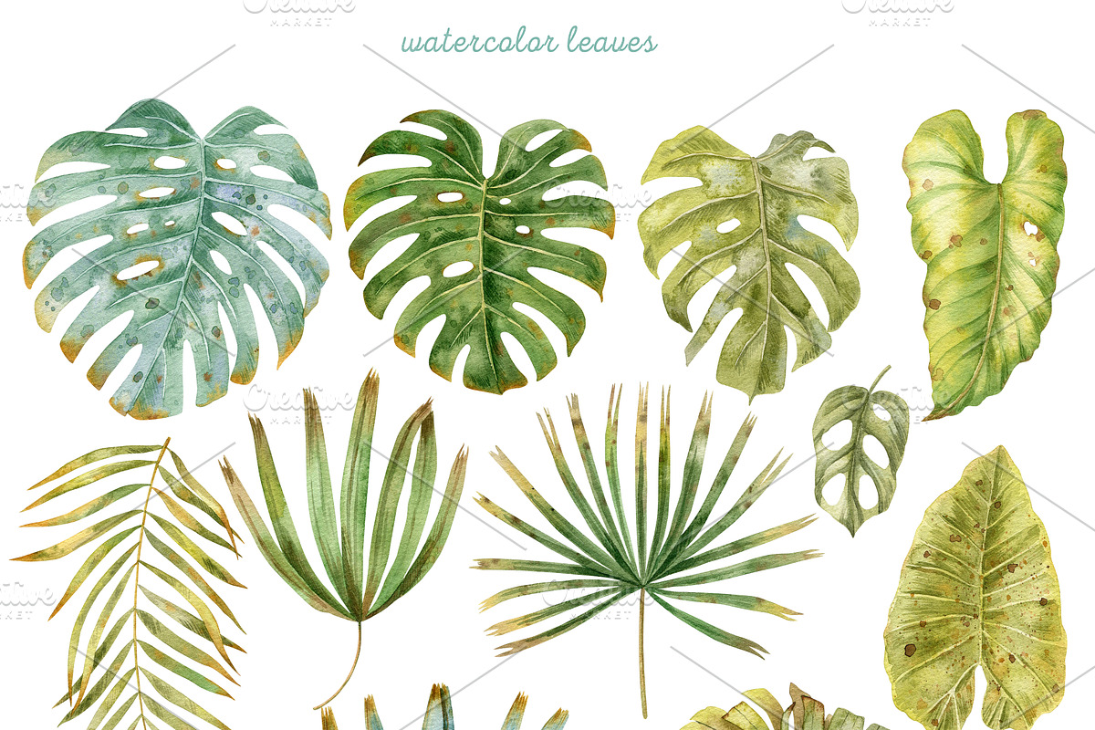 Watercolor Tropical Leaves & Flowers, an Illustration by babenkoirusa (Photo 2 of 17)