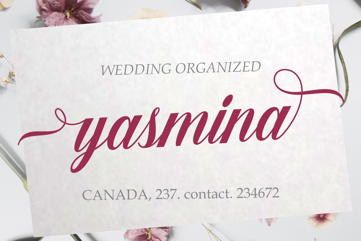 Barna, a Script Font by studiobasic (Photo 2 of 7)