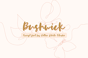 Bushwick, a Handwritten Font by Sofia Skoog (Thumbnail 1 of 11)