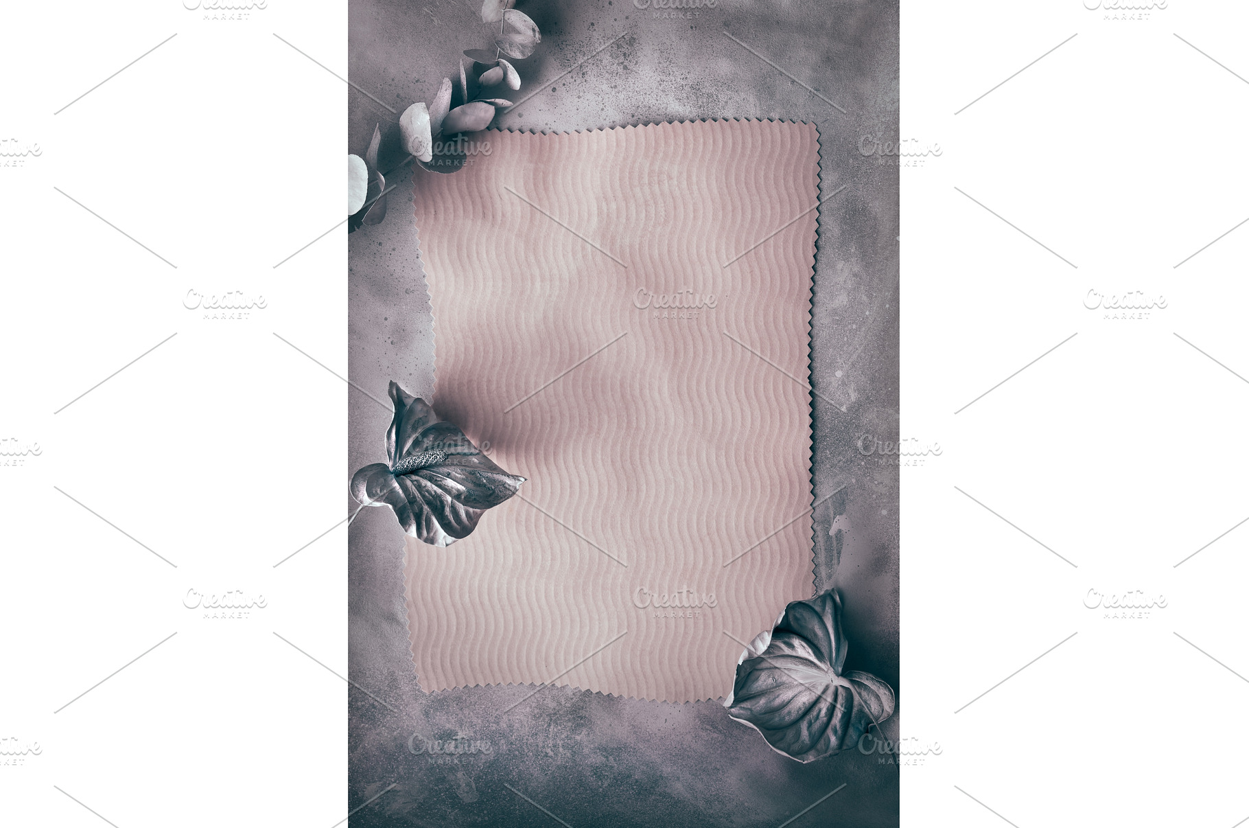 Shabby chic monochrome background, an Abstract Photo by tilialucida