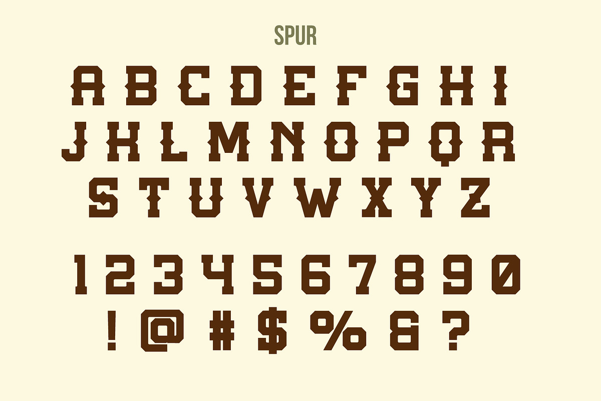 Texas Slab, a Slab Serif Font by Loudoun Design Co. (Photo 2 of 6)