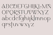 Notting Hill. Stylish new serif font, a Serif Font by LostandFoundry (Thumbnail 5 of 6)