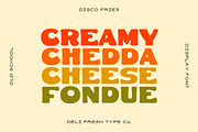 Disco Fries: A Retro Poster Font, a Sans Serif Font by DeliFreshTypeCo. (Thumbnail 3 of 5)