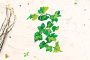Crayon Ivy & Grape Vine Clipart, a Healthcare Illustration by Lucyinyourheart (Thumbnail 4 of 5)