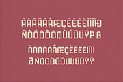 Alodraca Sans Serif Display Font, a Serif Font by Storytype Studio (Thumbnail 14 of 15)