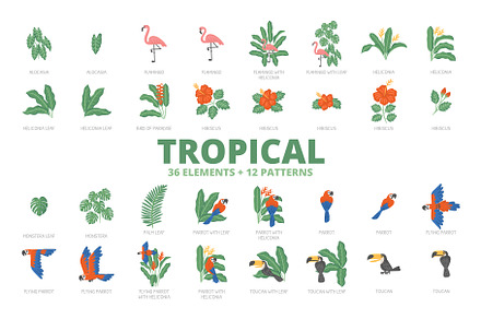 36 Tropical Elements + 12 Patterns