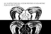 Animal skulls - vector illustrations, an Animal Illustration by Renée from Studio neetje (Thumbnail 3 of 3)