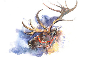 Christmas Santa Claus Deer Fairy