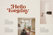 Transcity - A Playful Serif, a Serif Font by Dharmas Foundry (Thumbnail 3 of 16)